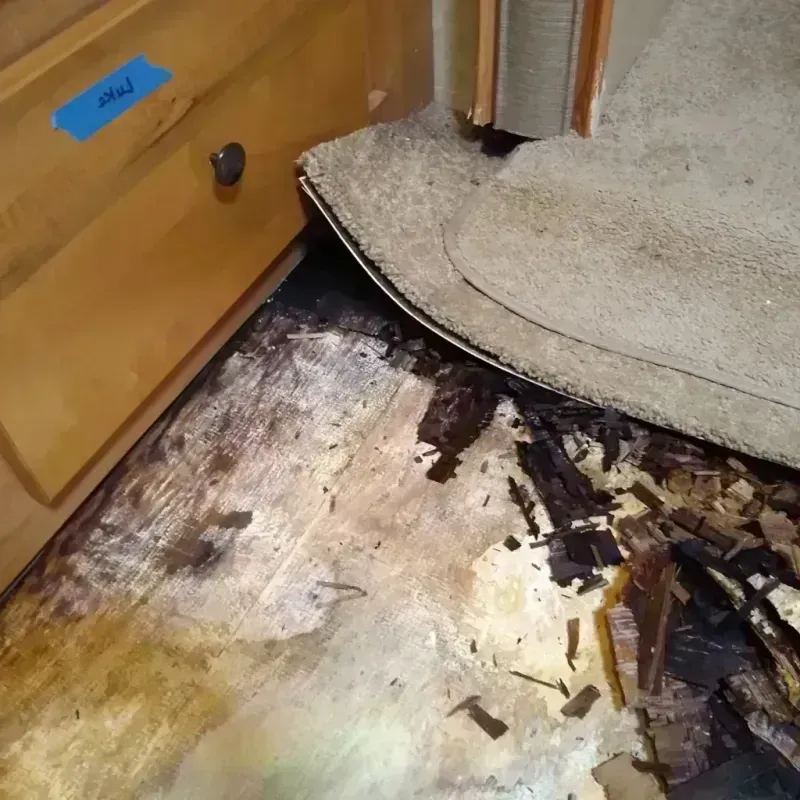 Best Wood Floor Water Damage Service in Wilkinsburg, PA